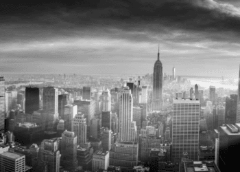 Is there a consensus between politicians and city voters on policy priorities?