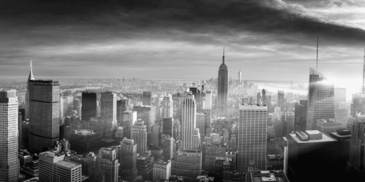 Is there a consensus between politicians and city voters on policy priorities?