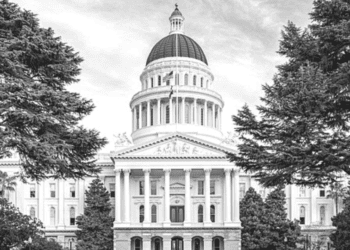 Nonpartisan redistricting in California: A Q&A with Sara Sadhwani