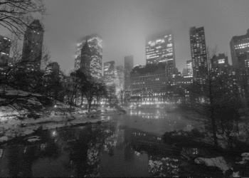 Learning from New York’s 1990s comeback