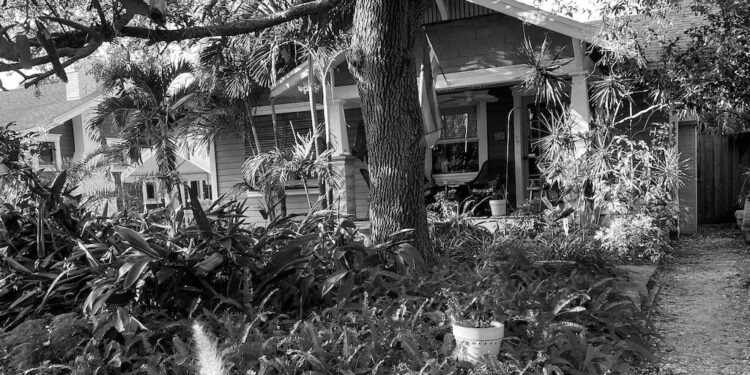 Ballot questions tackle high property taxes that come with rising home values