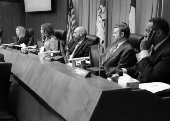 Most city councils show mid-level professionalism