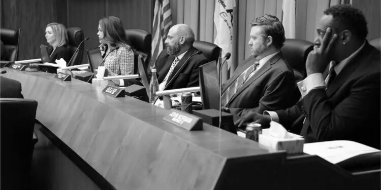 Most city councils show mid-level professionalism