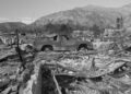 Wildfire-resistant landscaping is common sense—but not without controversy
